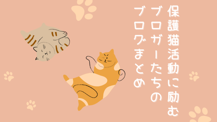 cook 今日なに作ろ？